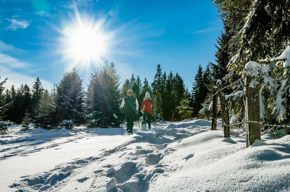 Schneeschuhwanderung | © Region Graz-Mias Photoart