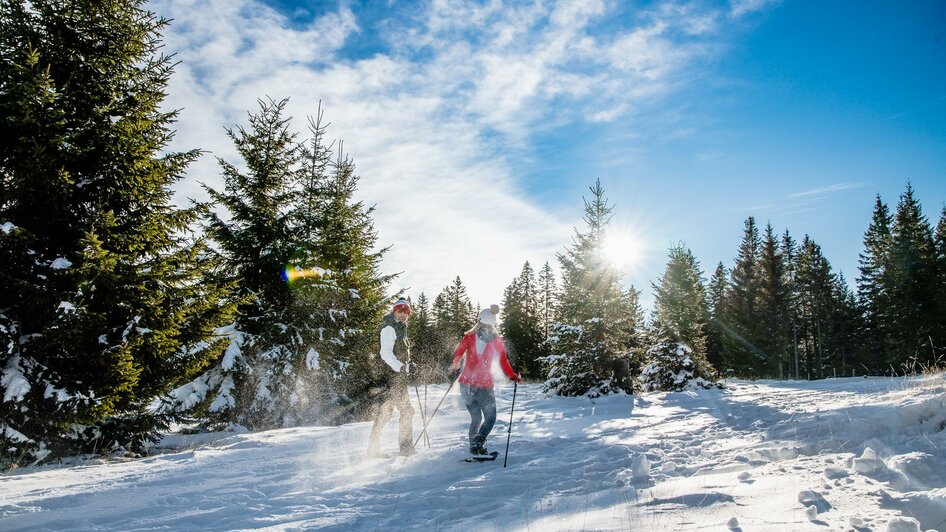 Naturgenuss beim Schneeschuhwandern | © Region Graz-Mias Photoart