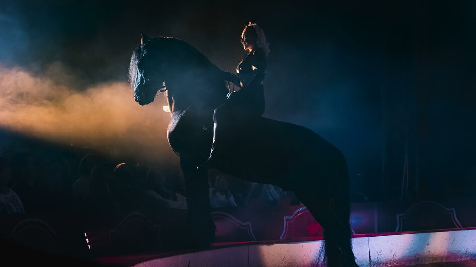 Pferd in der Manage | © Jolanda Hofmann
